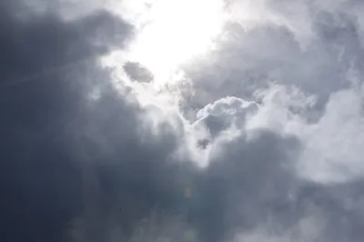 DSC_3078 (Large).JPG